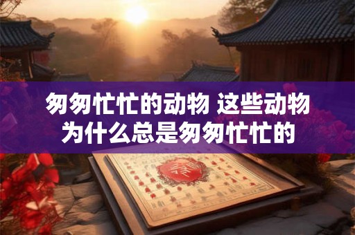 匆匆忙忙的动物 这些动物为什么总是匆匆忙忙的