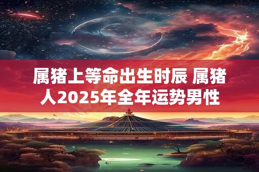属猪上等命出生时辰 属猪人2025年全年运势男性