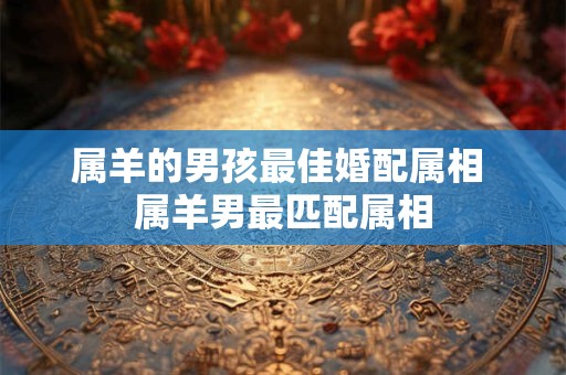 属羊的男孩最佳婚配属相 属羊男最匹配属相