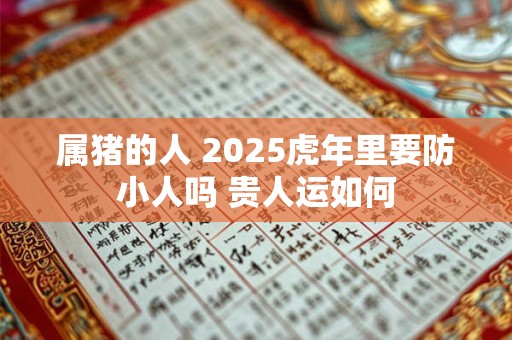 属猪的人 2025虎年里要防小人吗 贵人运如何