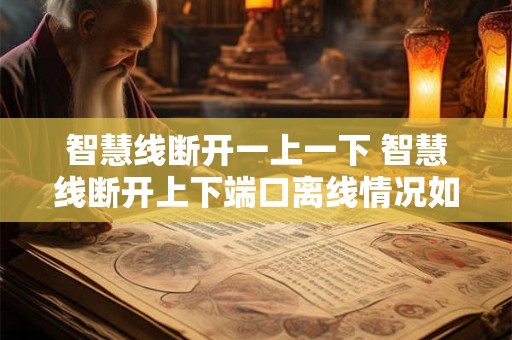 智慧线断开一上一下 智慧线断开上下端口离线情况如何