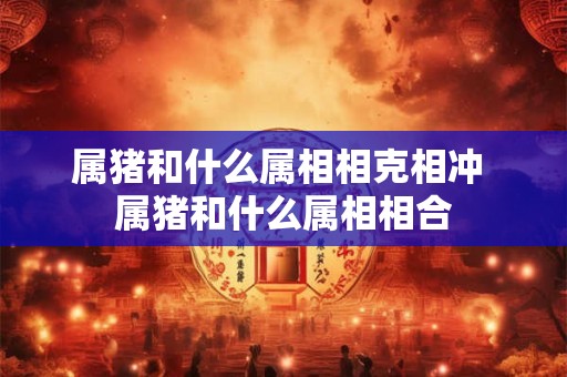 属猪和什么属相相克相冲 属猪和什么属相相合