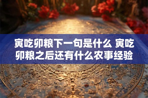 寅吃卯粮下一句是什么 寅吃卯粮之后还有什么农事经验值得学习 寅吃卯粮下一句是什么 寅吃卯粮之后还有什么农事经验值得学习