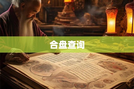 合盘查询 合盘查询