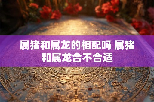 属猪和属龙的相配吗 属猪和属龙合不合适 属猪和属龙的相配吗 属猪和属龙合不合适