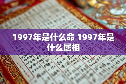 1997年是什么命 1997年是什么属相