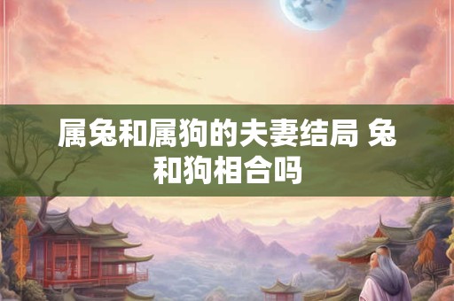 属兔和属狗的夫妻结局 兔和狗相合吗
