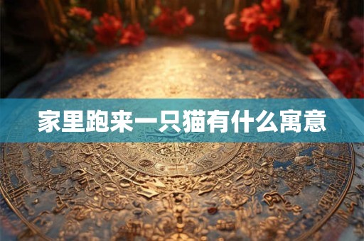 家里跑来一只猫有什么寓意