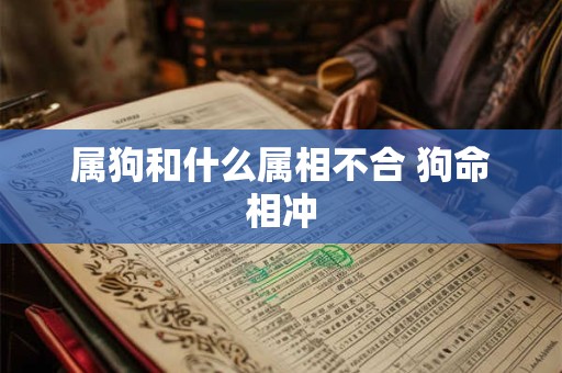 属狗和什么属相不合 狗命相冲