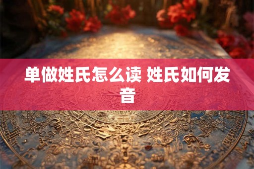 单做姓氏怎么读 姓氏如何发音