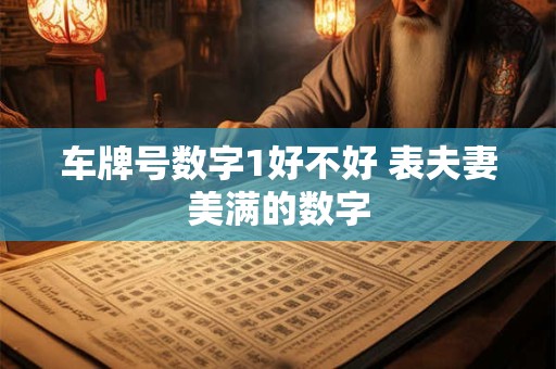 车牌号数字1好不好 表夫妻美满的数字