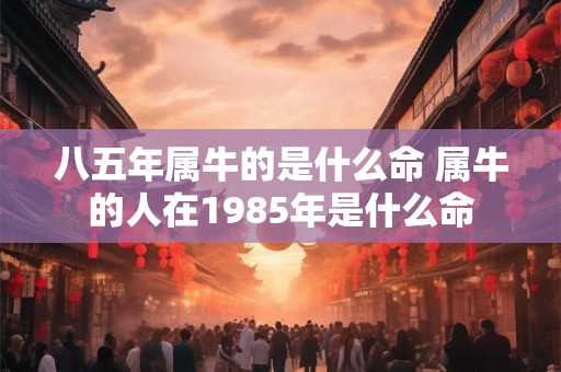八五年属牛的是什么命 属牛的人在1985年是什么命