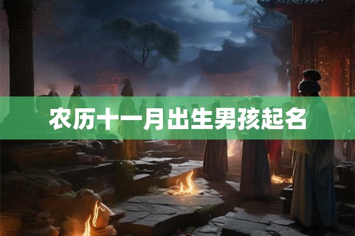 农历十一月出生男孩起名
