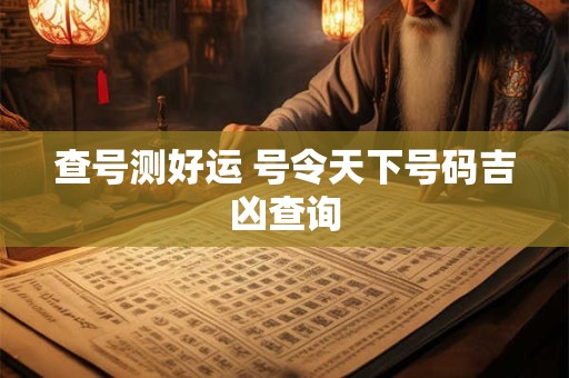 查号测好运 号令天下号码吉凶查询