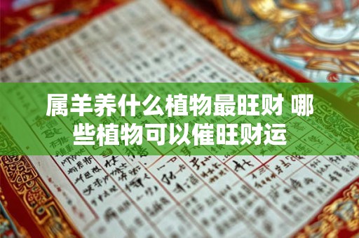属羊养什么植物最旺财 哪些植物可以催旺财运