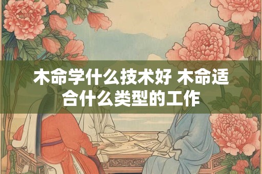 木命学什么技术好 木命适合什么类型的工作