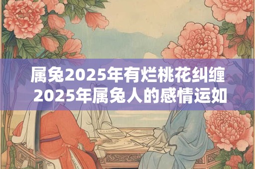 属兔2026年有烂桃花纠缠 2026年属兔人的感情运如何