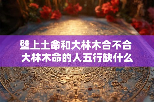 壁上土命和大林木合不合 大林木命的人五行缺什么