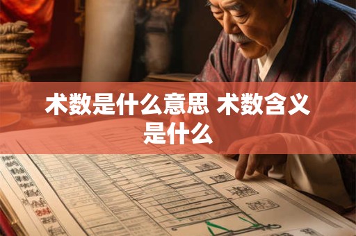 术数是什么意思 术数含义是什么