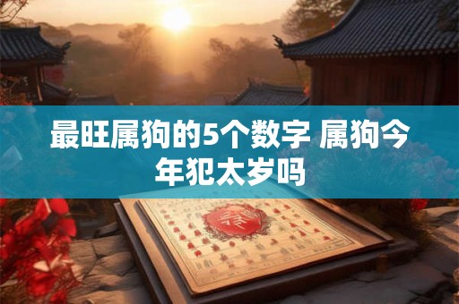 最旺属狗的5个数字 属狗今年犯太岁吗