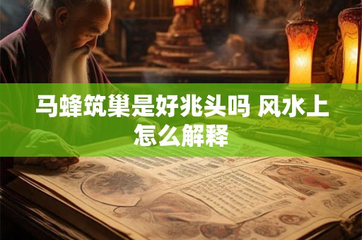 马蜂筑巢是好兆头吗 风水上怎么解释