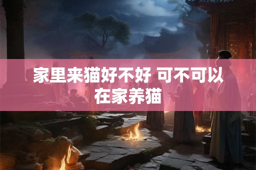 家里来猫好不好 可不可以在家养猫