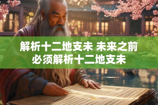 解析十二地支未 未来之前必须解析十二地支未
