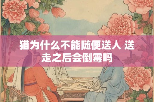 猫为什么不能随便送人 送走之后会倒霉吗