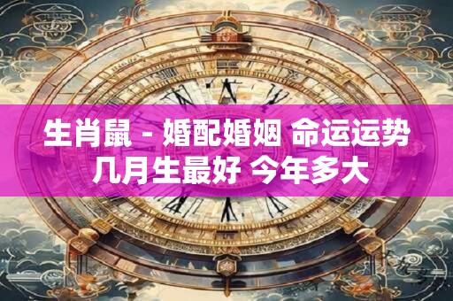 生肖鼠 - 婚配婚姻 命运运势 几月生最好 今年多大