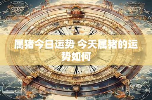 属猪今日运势 今天属猪的运势如何