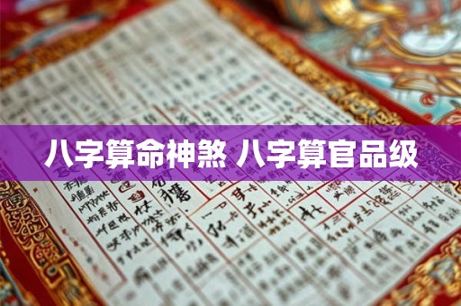 八字算命神煞 八字算官品级