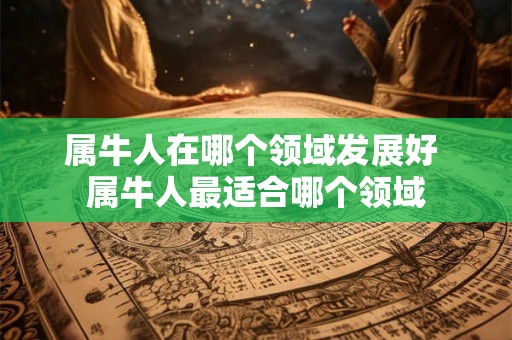 属牛人在哪个领域发展好 属牛人最适合哪个领域 属牛人在哪个领域发展好 属牛人最适合哪个领域