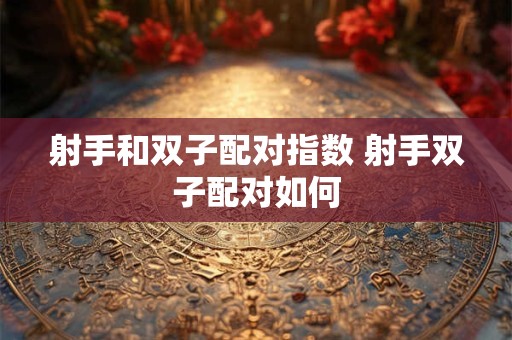 射手和双子配对指数 射手双子配对如何 射手和双子配对指数 射手双子配对如何