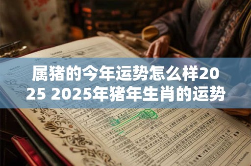 属猪的今年运势怎么样2025 2025年猪年生肖的运势如何
