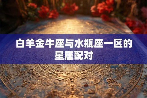 白羊金牛座与水瓶座一区的星座配对