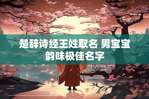 楚辞诗经王姓取名 男宝宝韵味极佳名字