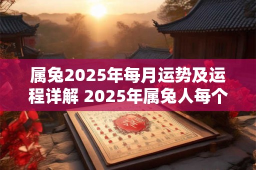 属兔2025年每月运势及运程详解 2025年属兔人每个月的运势如何运程有何详细解析