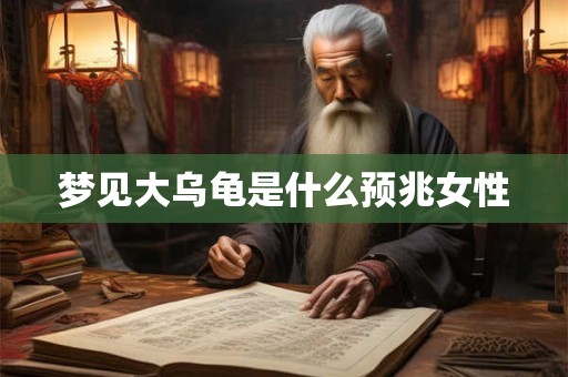 梦见大乌龟是什么预兆女性