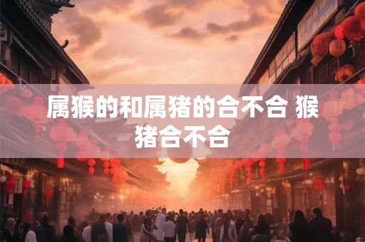 属猴的和属猪的合不合 猴猪合不合