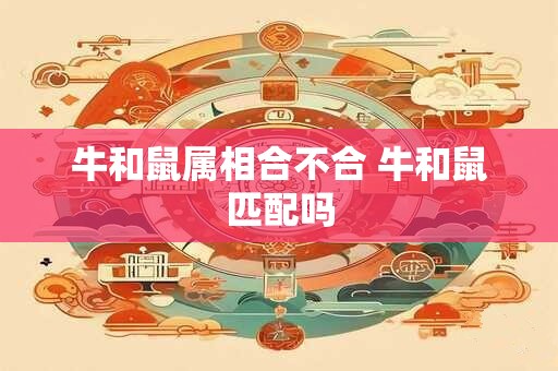 牛和鼠属相合不合 牛和鼠匹配吗