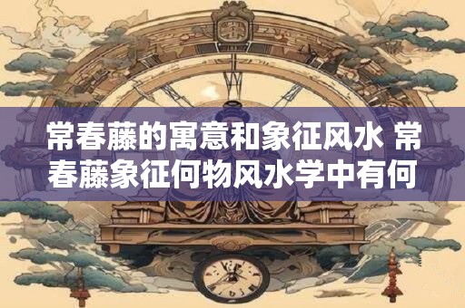 常春藤的寓意和象征风水 常春藤象征何物风水学中有何涵义