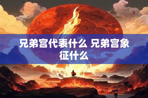 兄弟宫代表什么 兄弟宫象征什么