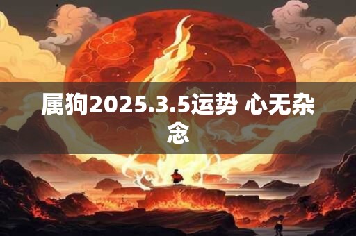 属狗2025.3.5运势 心无杂念