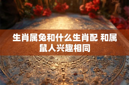 生肖属兔和什么生肖配 和属鼠人兴趣相同
