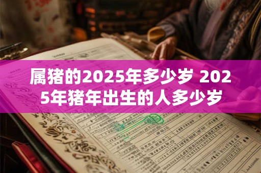属猪的2025年多少岁 2025年猪年出生的人多少岁