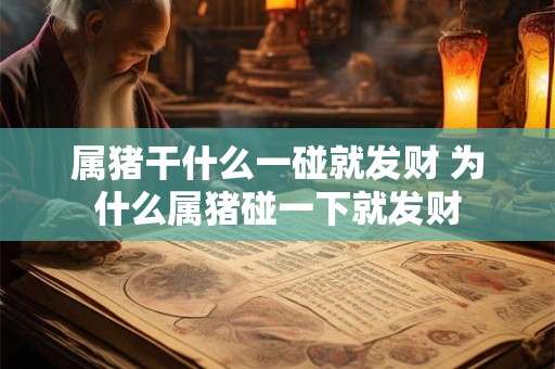 属猪干什么一碰就发财 为什么属猪碰一下就发财