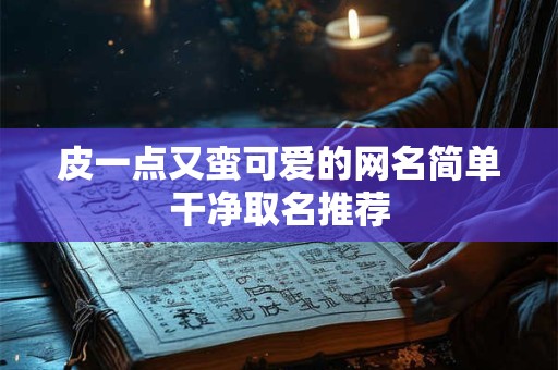 皮一点又蛮可爱的网名简单干净取名推荐