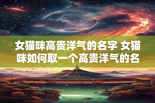 女猫咪高贵洋气的名字 女猫咪如何取一个高贵洋气的名字