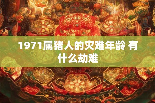 1971属猪人的灾难年龄 有什么劫难