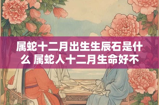 属蛇十二月出生生辰石是什么 属蛇人十二月生命好不好